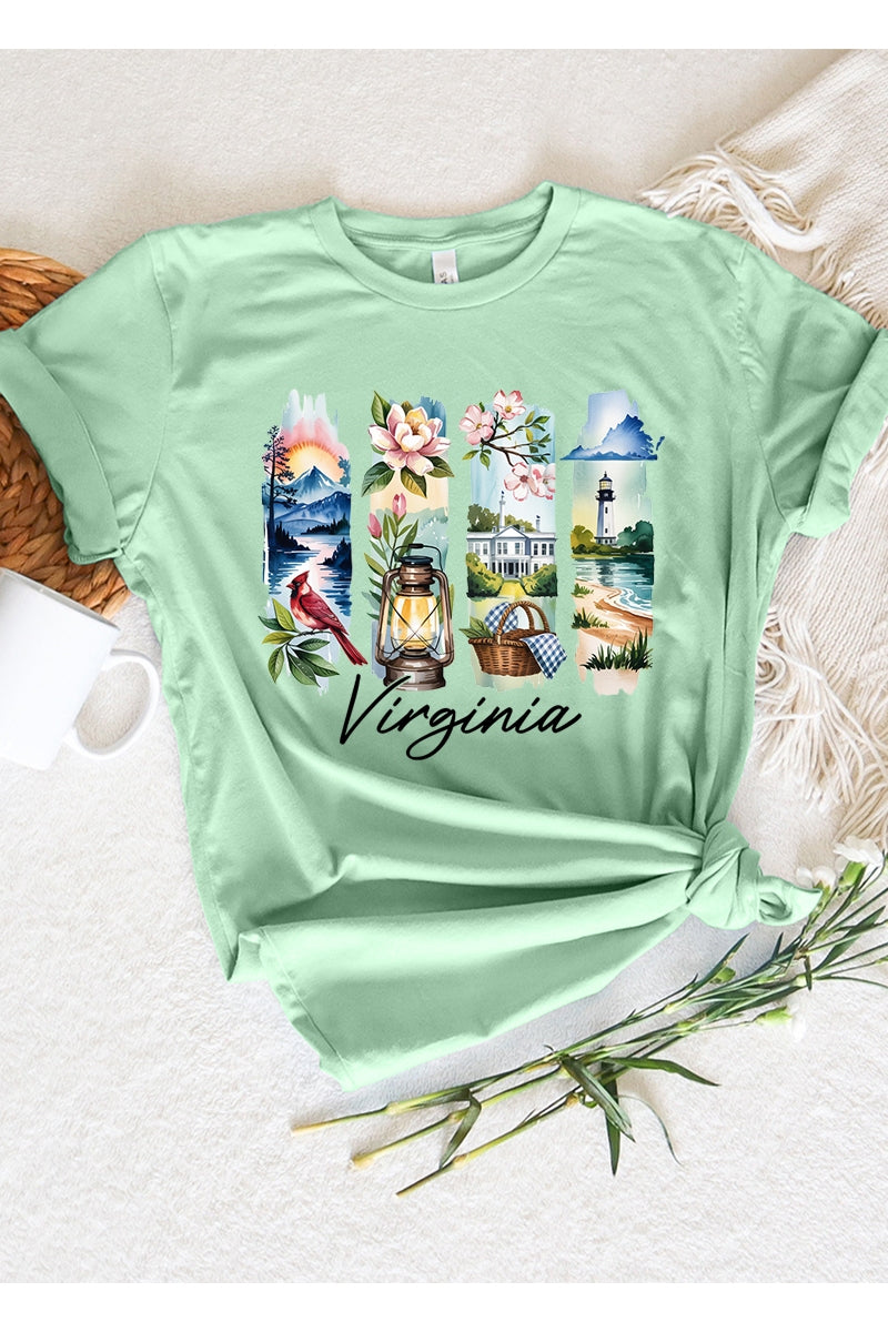 US3001-E3061VA Virginia State Brushstroke Graphic Tee $12.5