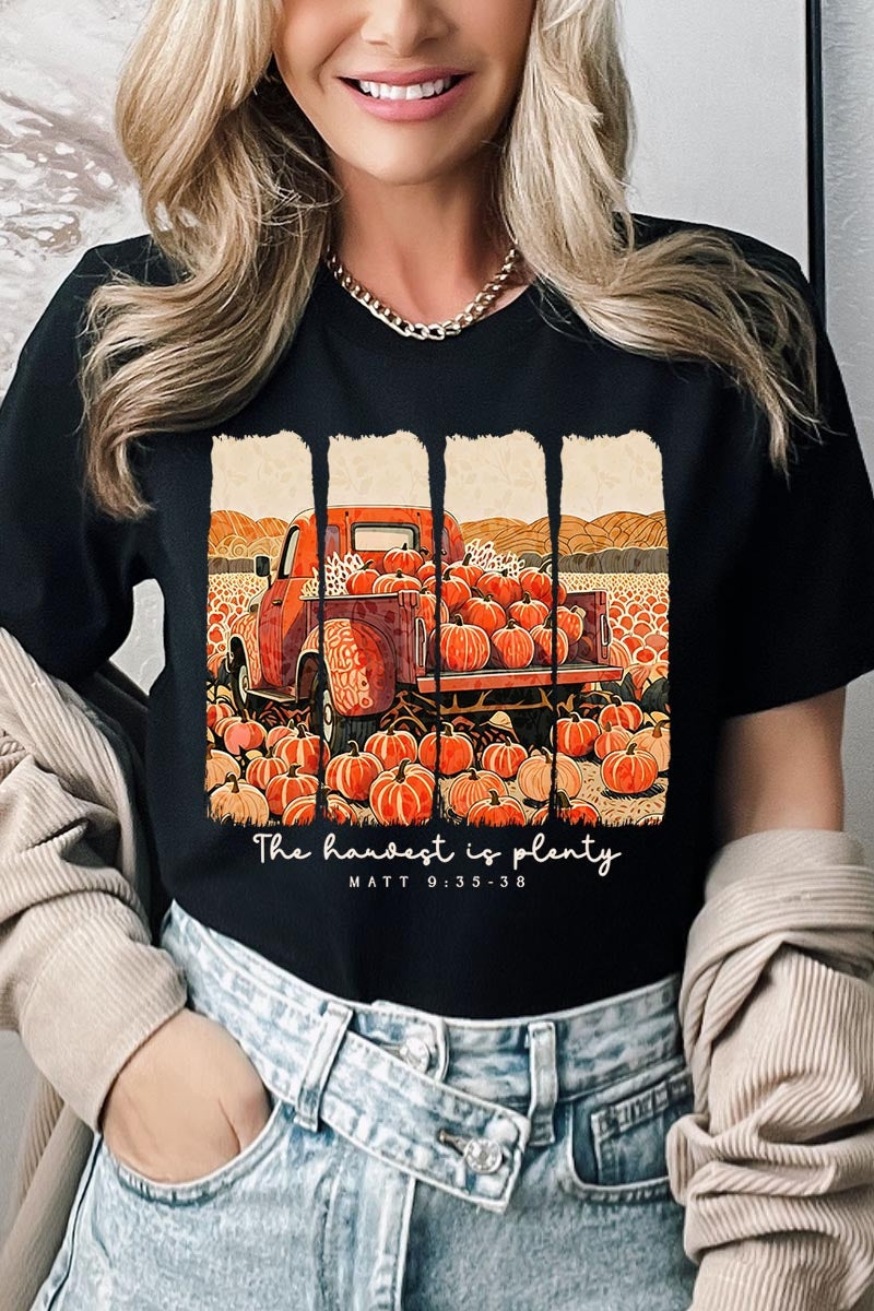 US3001-E3172 Harvest Is Plenty Graphic Tee $12.5