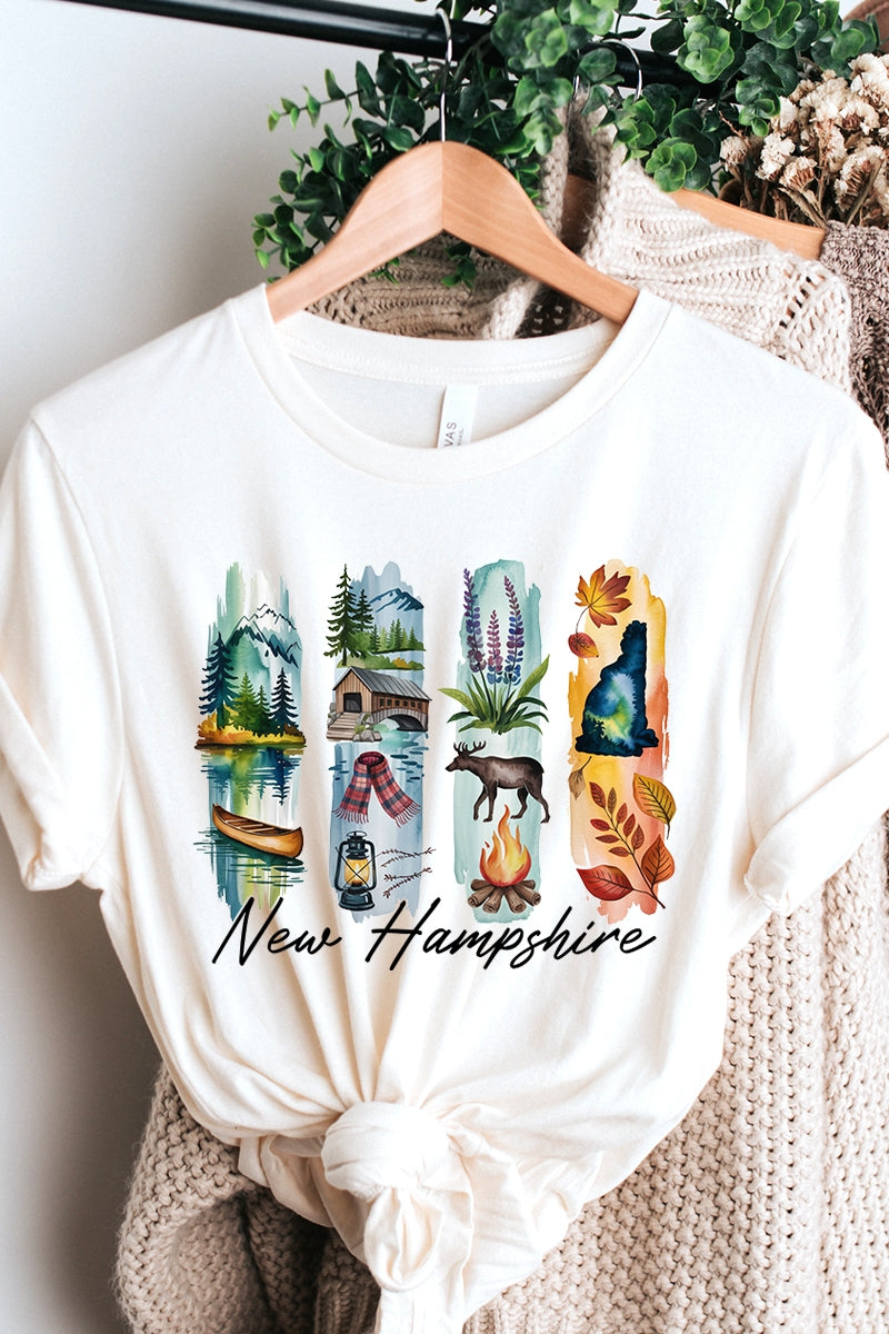 US3001P-E3061NH New Hampshire State Brushstroke Graphic Plus Tee $16