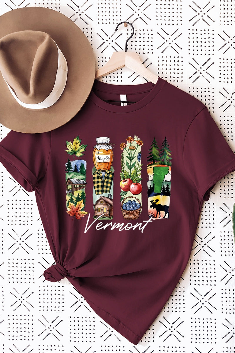 US3001P-E3061VT Vermont State Brushstroke Graphic Plus Tee $16