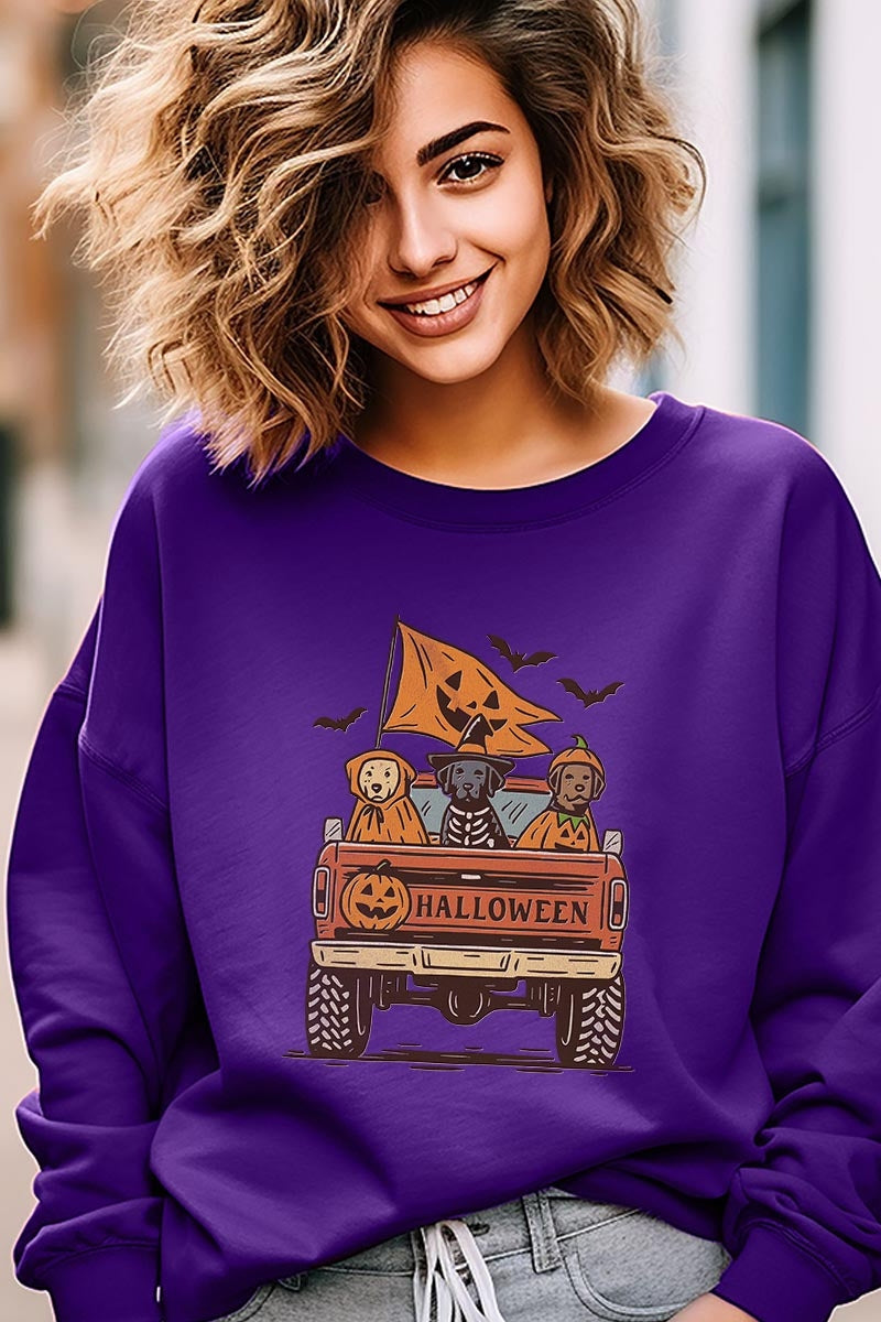 UL180-E3150 Halloween Truck Dogs Graphic Sweatshirt $20