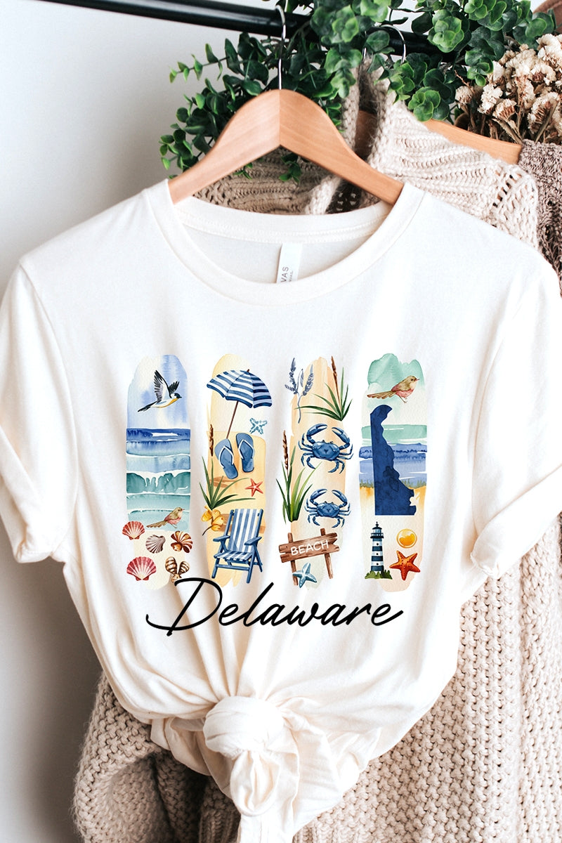 US3001-E3061DE Delaware State Brushstroke Graphic Tee $12.5