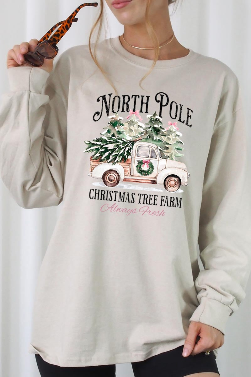 UL240P-E3174 North Pole Christmas Graphic Plus Long Sleeve Tee $17