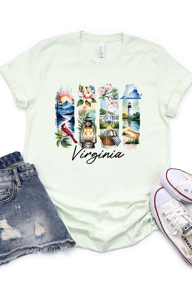 US3001P-E3061VA Virginia State Brushstroke Graphic Plus Tee $16