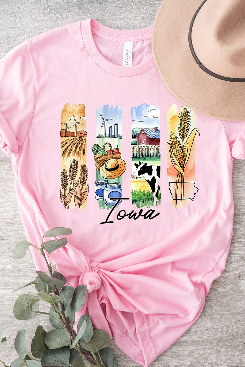 US3001P-E3061IA Iowa State Brushstroke Graphic Plus Tee $16