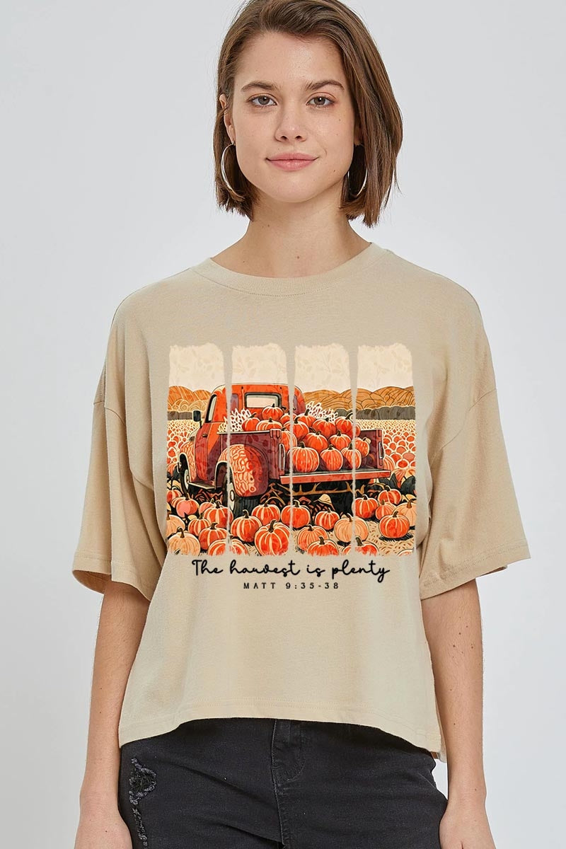 CTS-E3172 Harvest Is Plenty Graphic Relaxed Crop Top $11