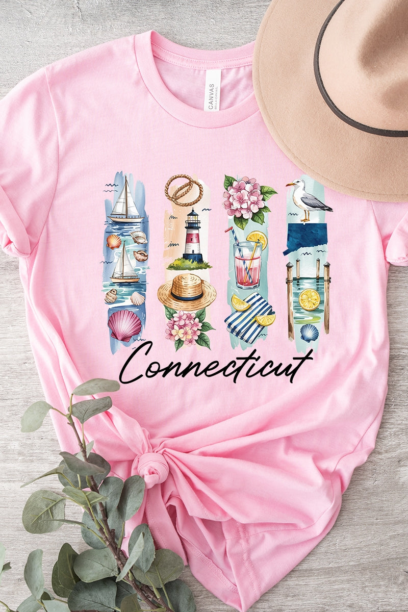 US3001P-E3061CT Connecticut State Brushstroke Graphic Plus Tee $16