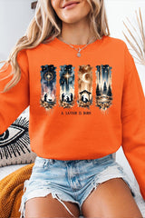 UL180P-E3204 Savior Is Born Nativity Graphic Plus Sweatshirt $25