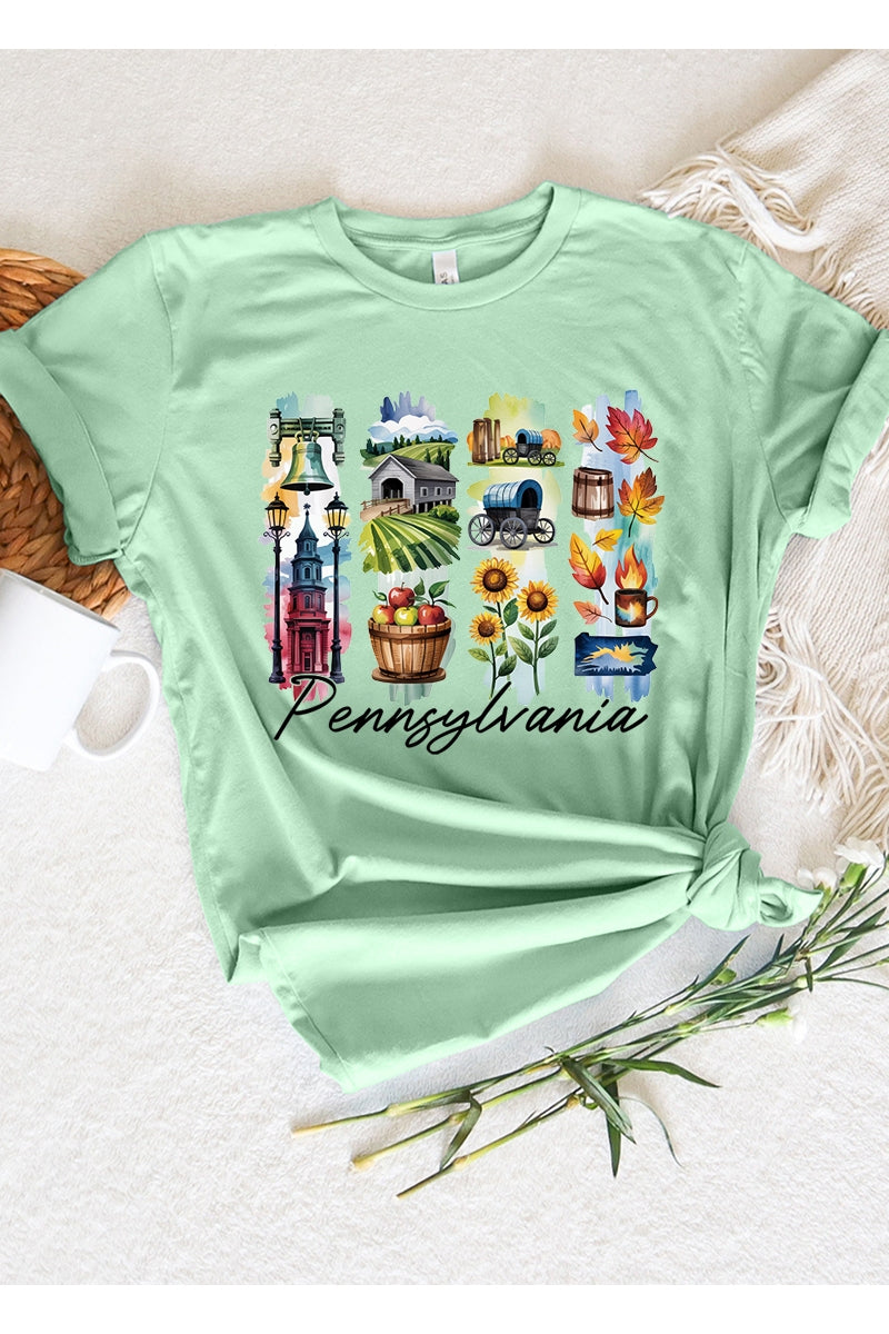 US3001P-E3061PA Pennsylvania State Brushstroke Graphic Plus Tee $16