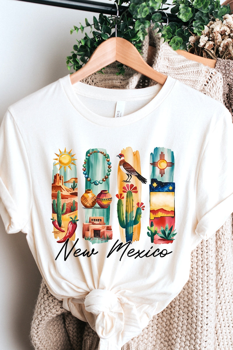US3001P-E3061NM New Mexico State Brushstroke Graphic Plus Tee $16