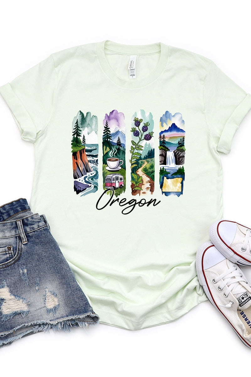 US3001P-E3061OR Oregon State Brushstroke Graphic Plus Tee $16