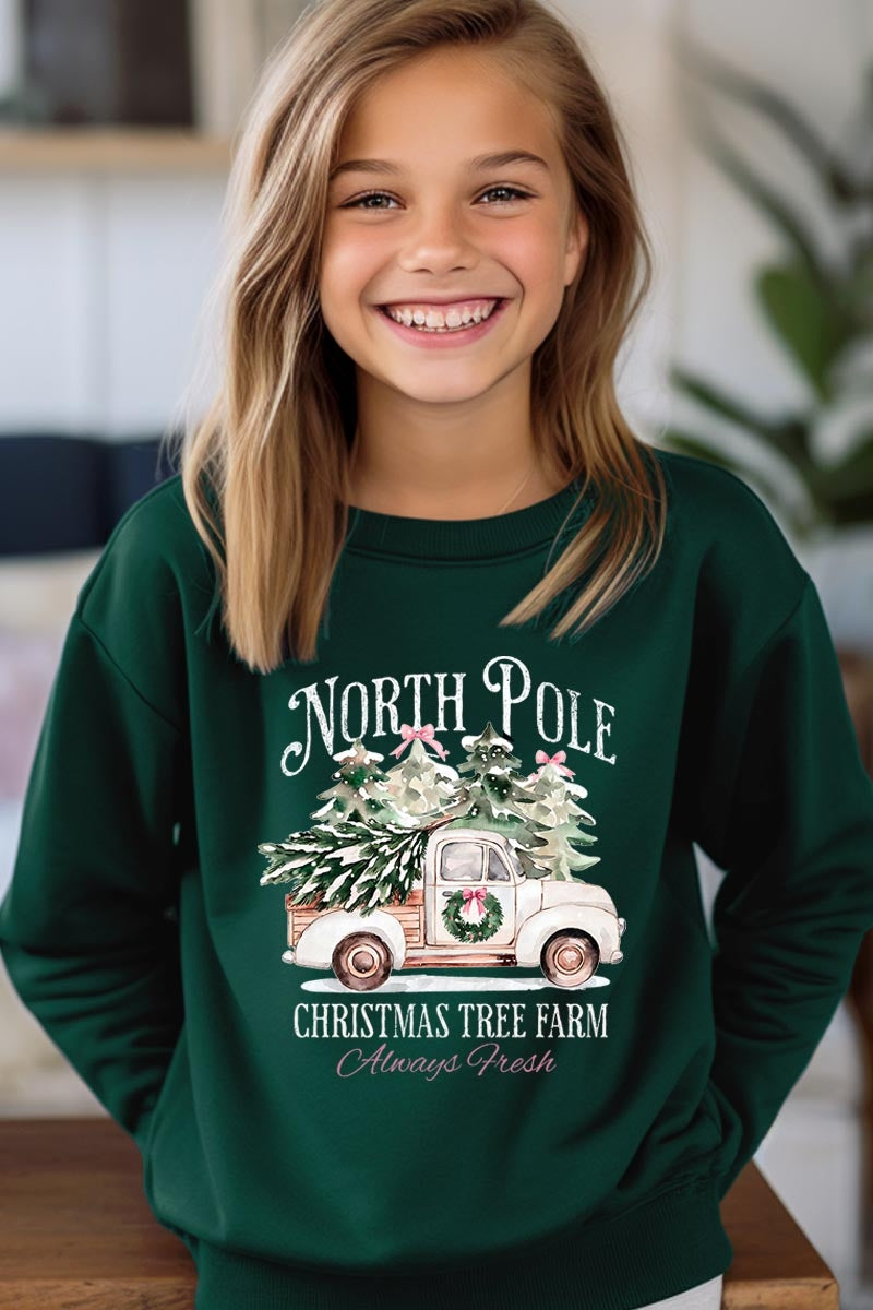 UL180B-E3174Z North Pole Christmas Kids Graphic Sweatshirt $20