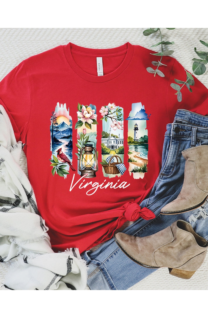 US3001-E3061VA Virginia State Brushstroke Graphic Tee $12.5