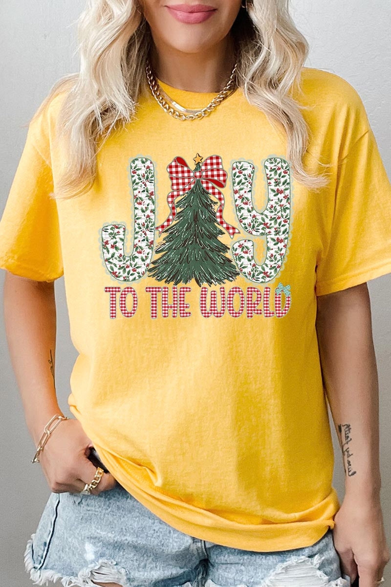 5000P-E3213 Joy to the World Graphic Plus Heavy Cotton Tee $12.75