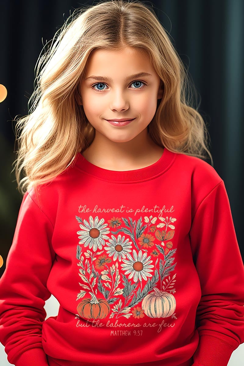 UL180B-E3173Z Faith Harvest Kids Graphic Sweatshirt $20