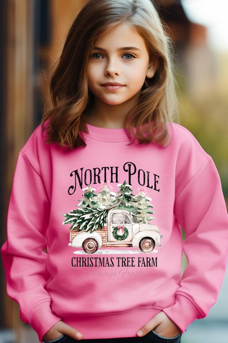 UL180B-E3174Z North Pole Christmas Kids Graphic Sweatshirt $20
