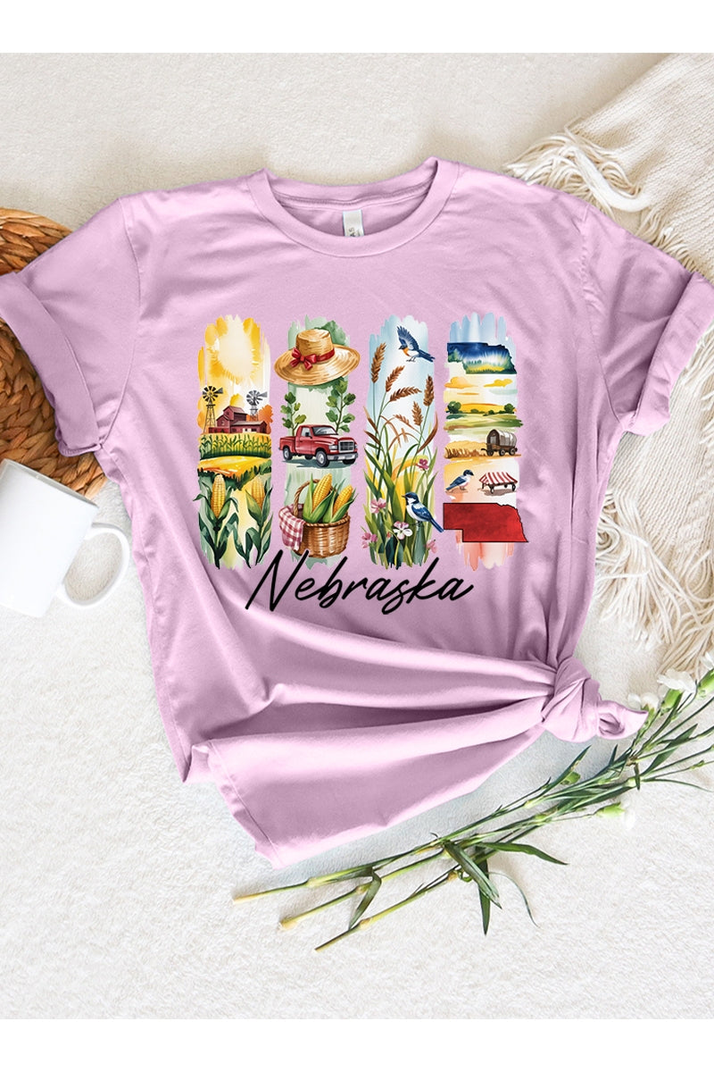 US3001P-E3061NE Nebraska State Brushstroke Graphic Plus Tee $16