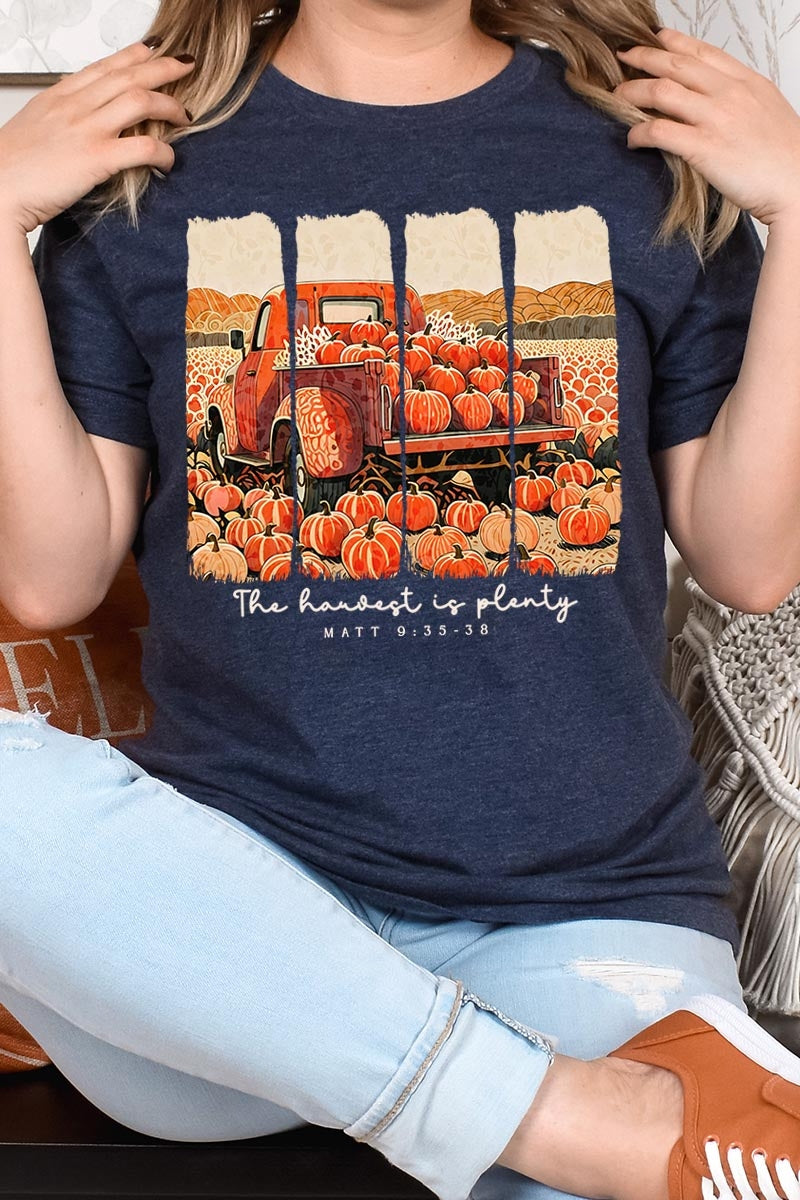 US3001P-E3172 Harvest Is Plenty Graphic Plus Tee $16