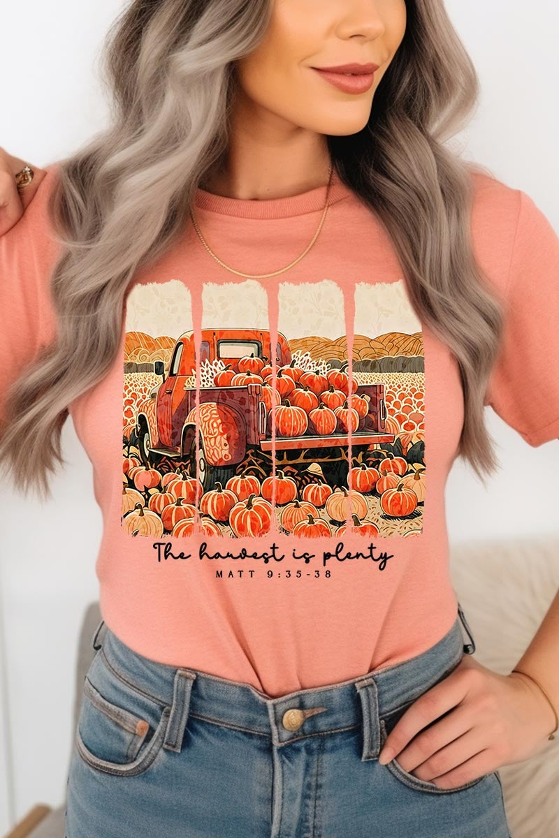 US3001-E3172 Harvest Is Plenty Graphic Tee $12.5
