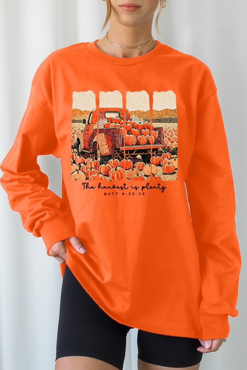 UL240P-E3172 Harvest Is Plenty Graphic Plus Long Sleeve Tee $17