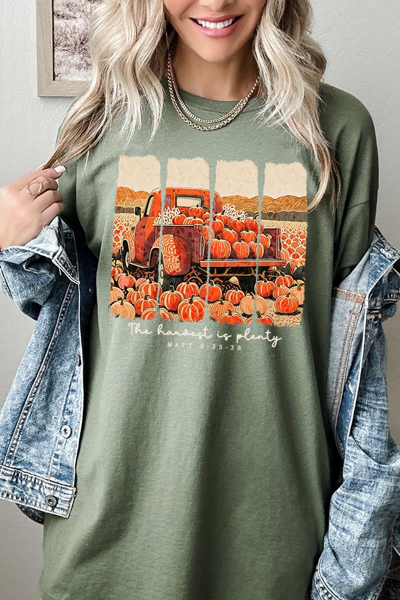 5000P-E3172 Harvest Is Plenty Graphic Plus Heavy Cotton Tee $12.75