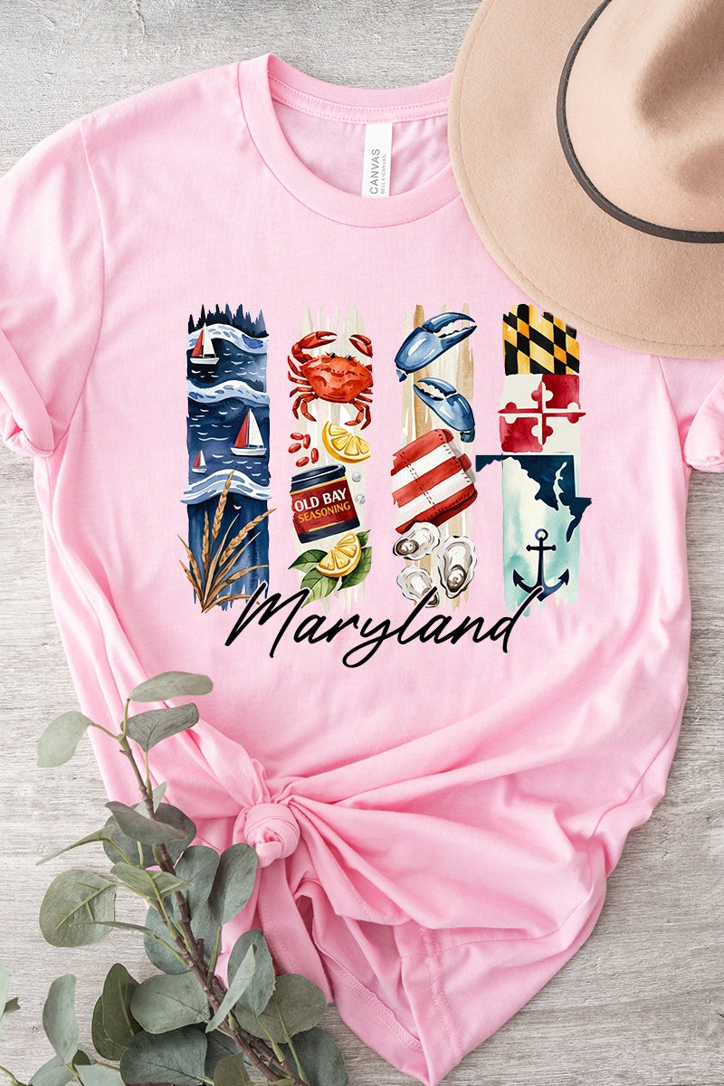 US3001P-E3061MD Maryland State Brushstroke Graphic Plus Tee $16