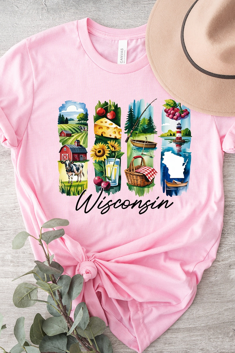 US3001-E3061WI Wisconsin State Brushstroke Graphic Tee $12.5