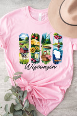 US3001P-E3061WI Wisconsin State Brushstroke Graphic Plus Tee $16