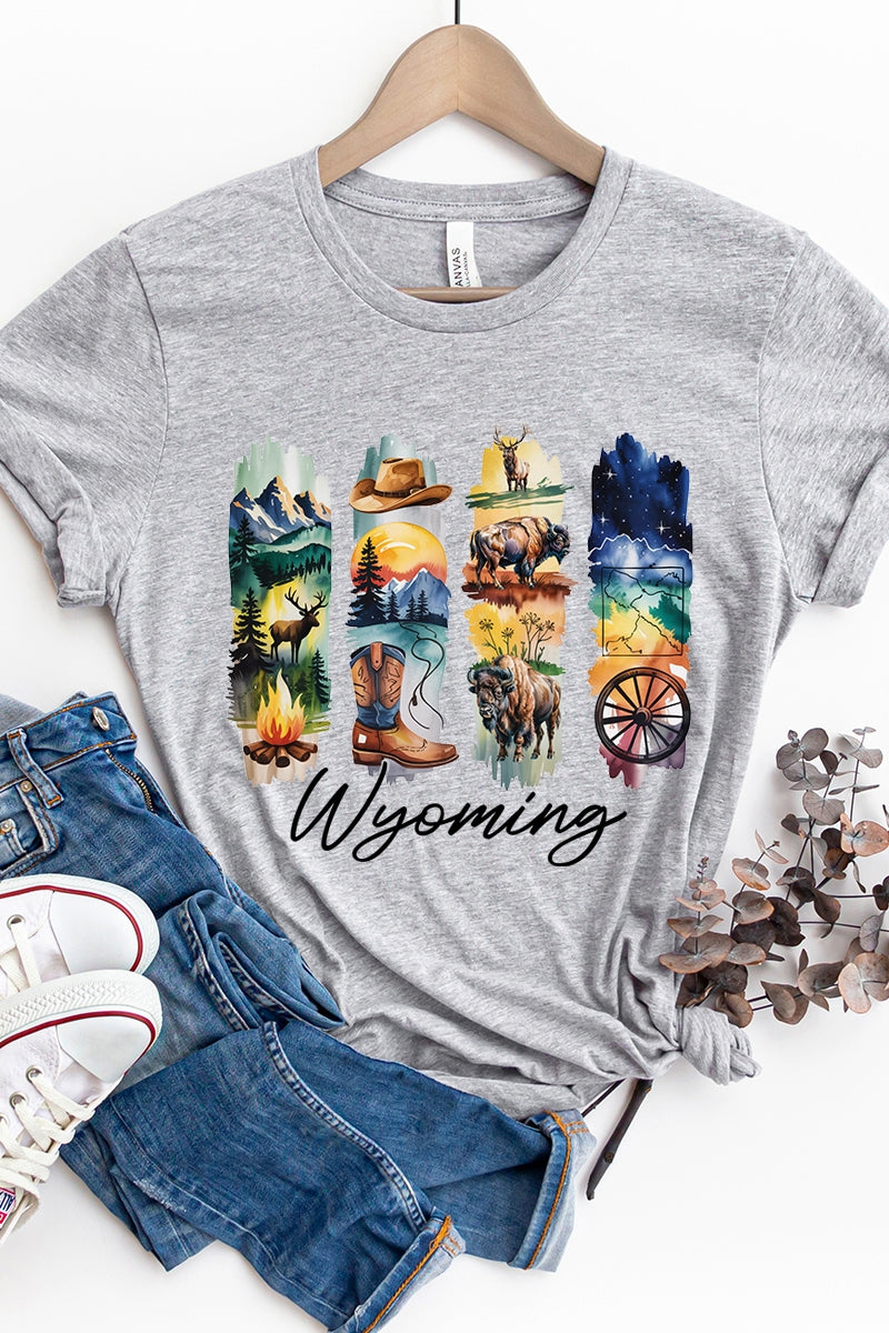US3001P-E3061WY Wyoming State Brushstroke Graphic Plus Tee $16
