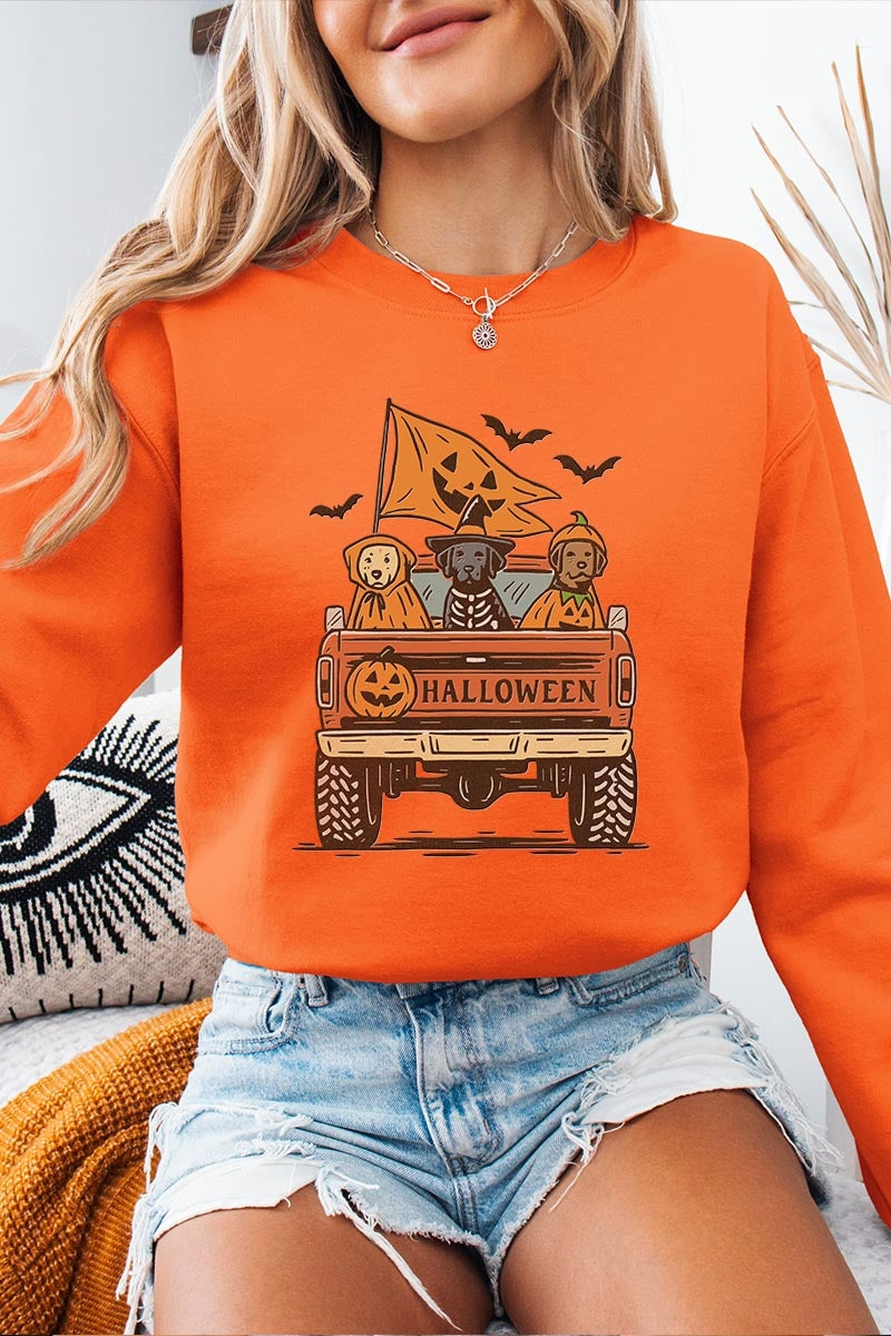 UL180-E3150 Halloween Truck Dogs Graphic Sweatshirt $20