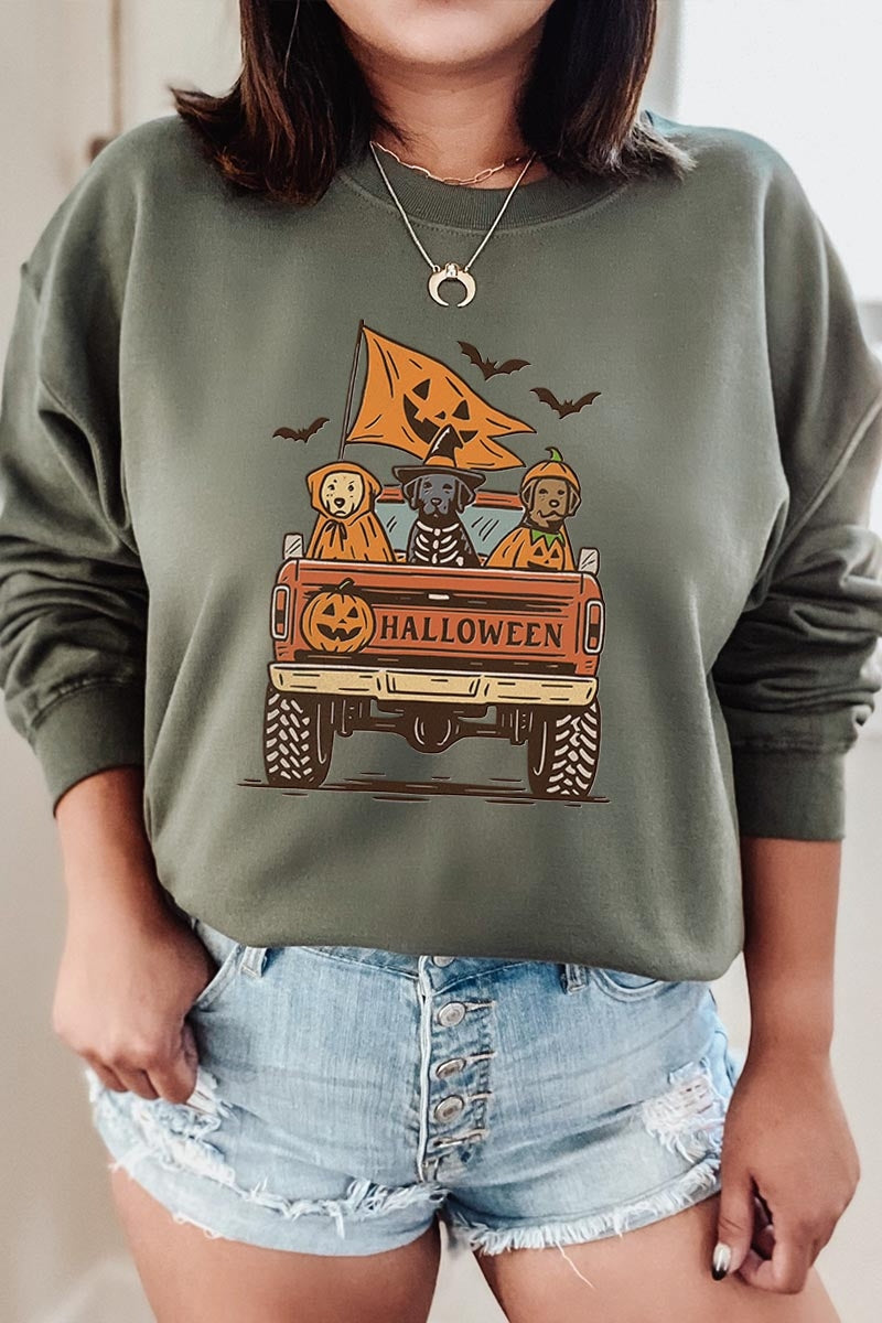 UL180P-E3150 Halloween Truck Dogs Graphic Plus Sweatshirt $25