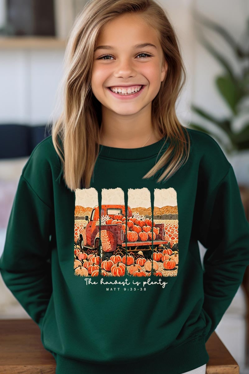 UL180B-E3172Z Harvest Is Plenty Kids Graphic Sweatshirt $20