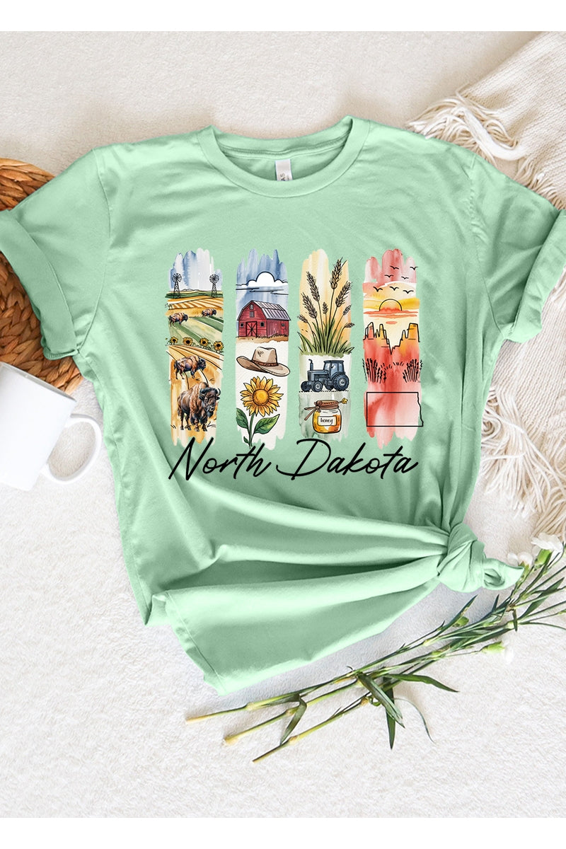 US3001P-E3061ND North Dakota State Brushstroke Graphic Plus Tee $16