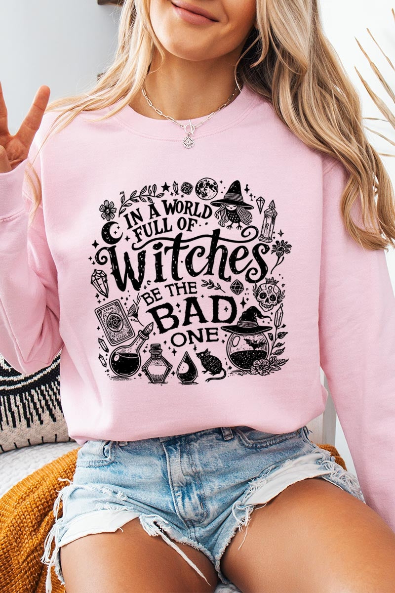 UL180P-E3139 In a World of Witches Graphic Plus Sweatshirt $25