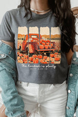 US3001P-E3172 Harvest Is Plenty Graphic Plus Tee $16