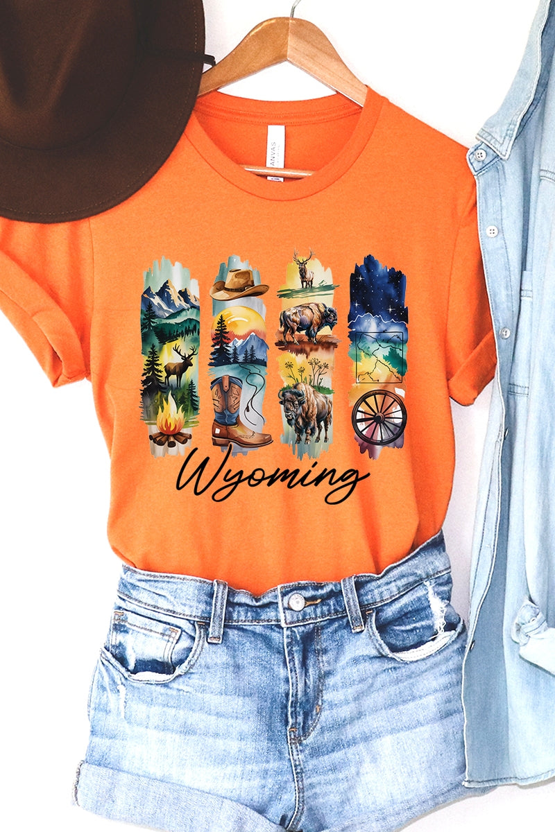 US3001P-E3061WY Wyoming State Brushstroke Graphic Plus Tee $16