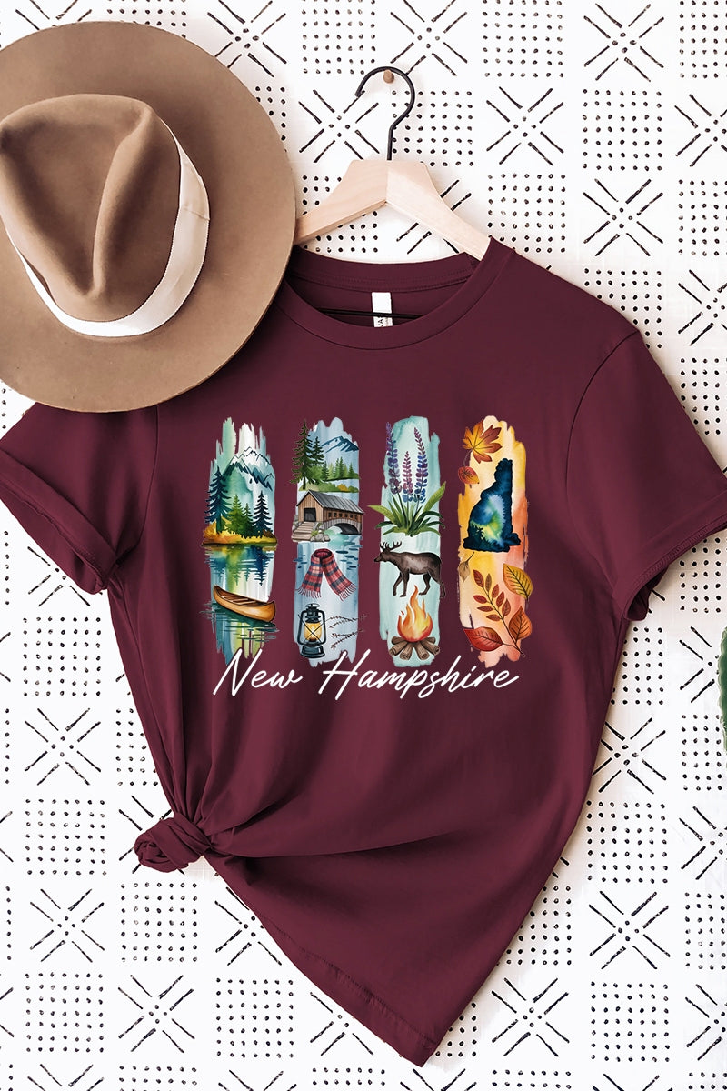 US3001P-E3061NH New Hampshire State Brushstroke Graphic Plus Tee $16