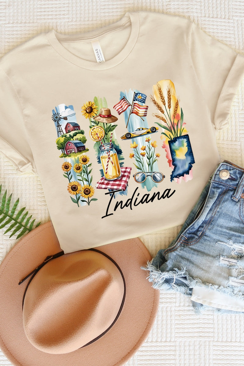 US3001P-E3061IN Indiana State Brushstroke Graphic Plus Tee $16