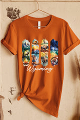 US3001P-E3061WY Wyoming State Brushstroke Graphic Plus Tee $16