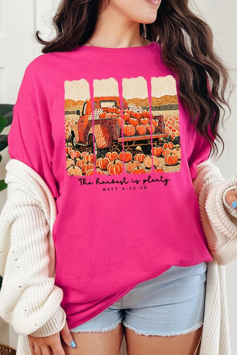 5000P-E3172 Harvest Is Plenty Graphic Plus Heavy Cotton Tee $12.75