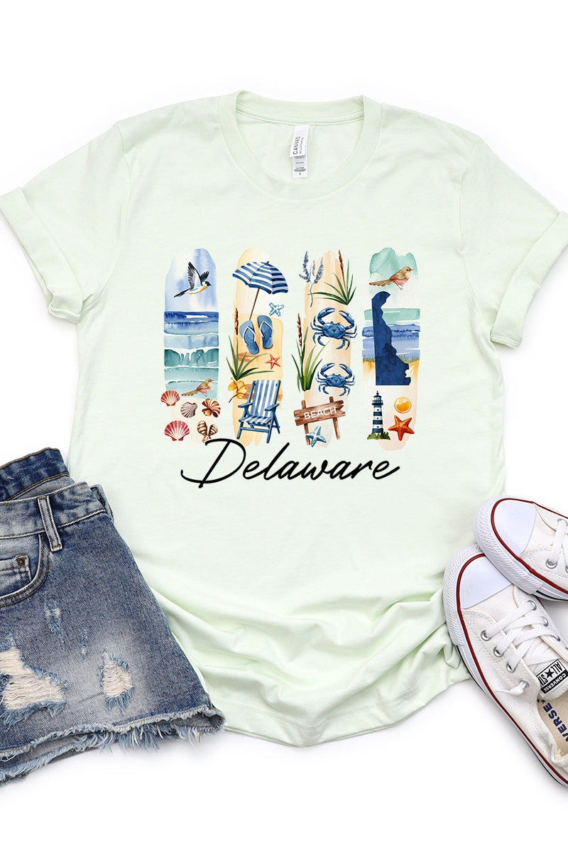 US3001-E3061DE Delaware State Brushstroke Graphic Tee $12.5