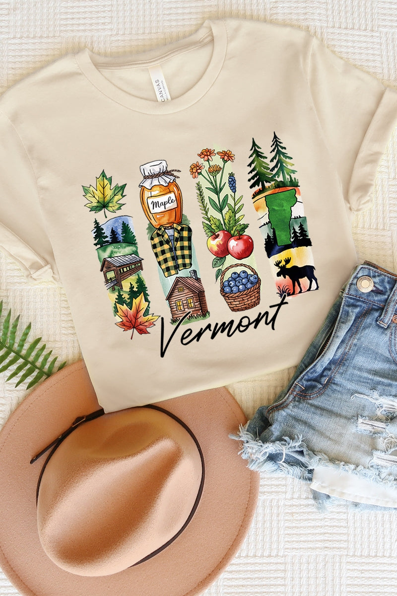 US3001-E3061VT Vermont State Brushstroke Graphic Tee $12.5