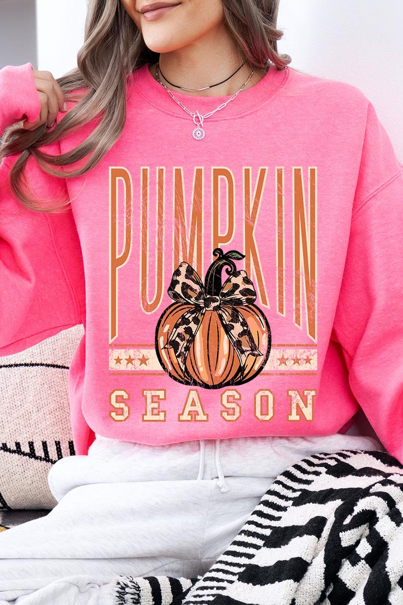 UL180-E3145 Pumpkin Season Graphic Sweatshirt $20