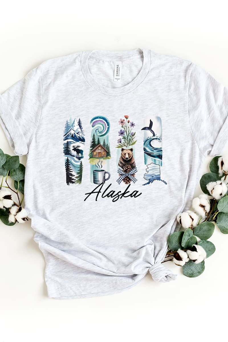 US3001P-E3061AK Alaska State Brushstroke Graphic Plus Tee $16