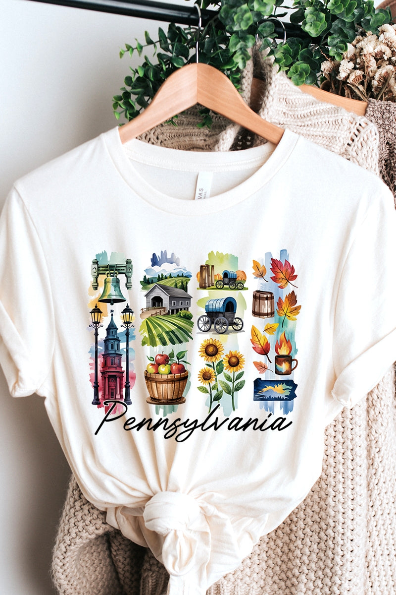 US3001P-E3061PA Pennsylvania State Brushstroke Graphic Plus Tee $16