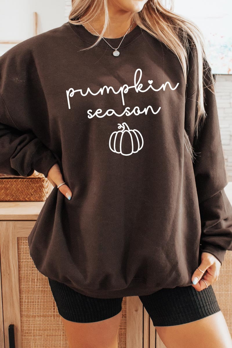 UL180-E3152 Pumpkin Season Graphic Sweatshirt $20