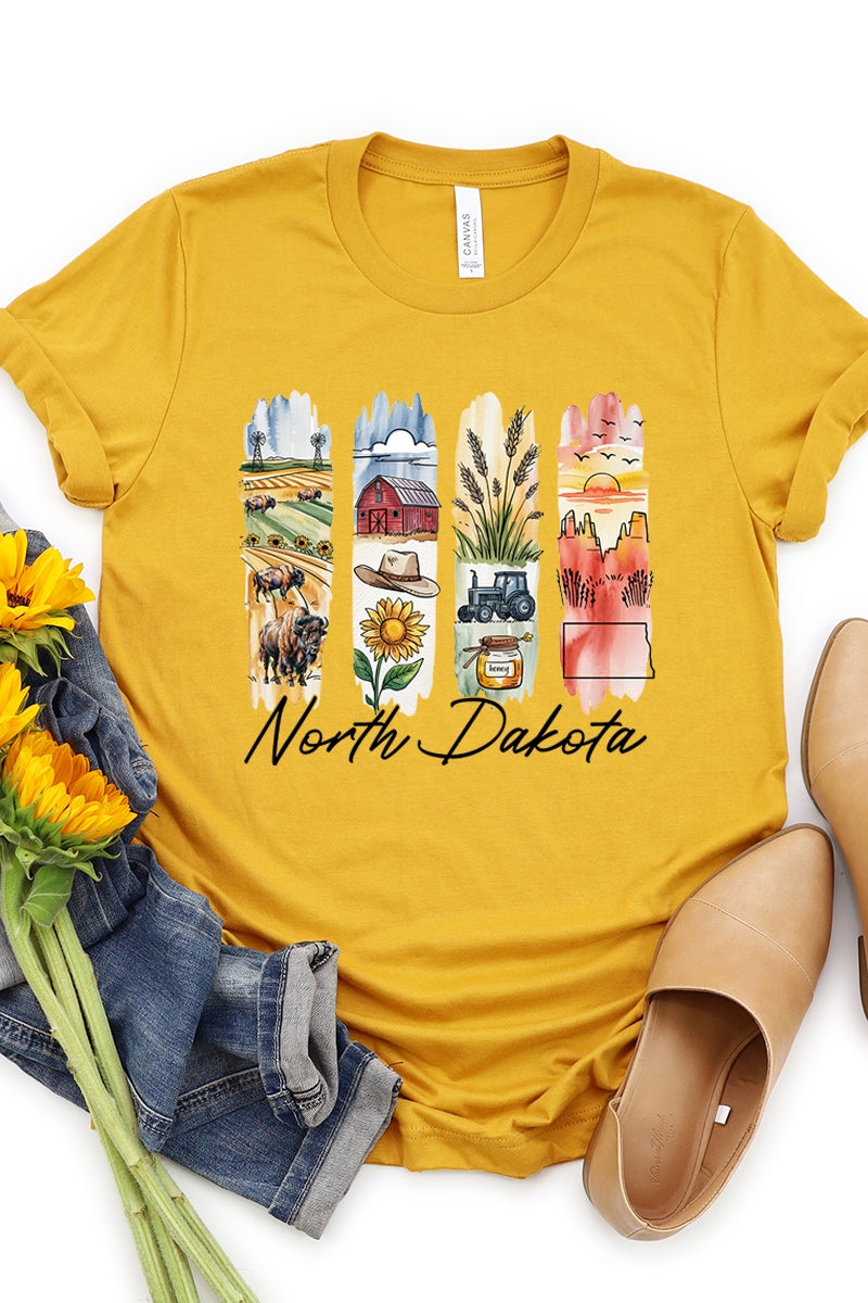 US3001P-E3061ND North Dakota State Brushstroke Graphic Plus Tee $16