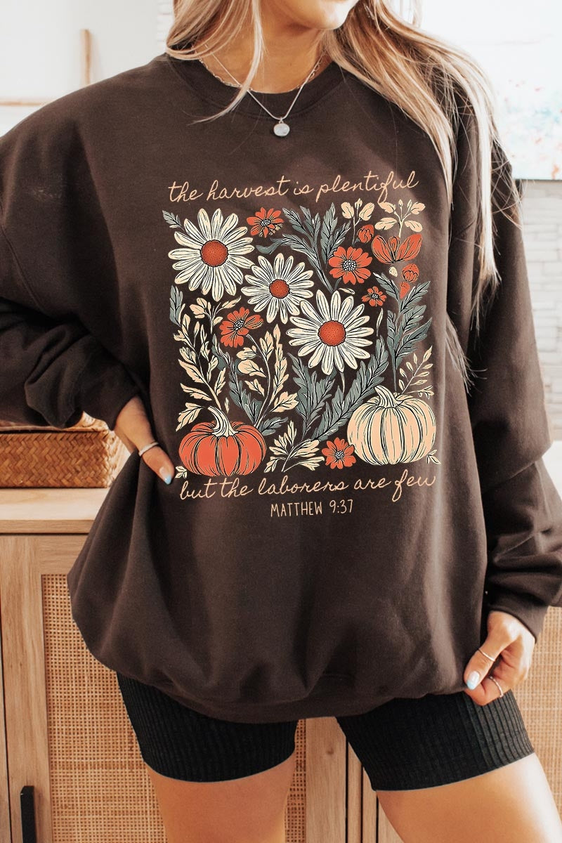 UL180-E3173 Faith Harvest Graphic Sweatshirt $20