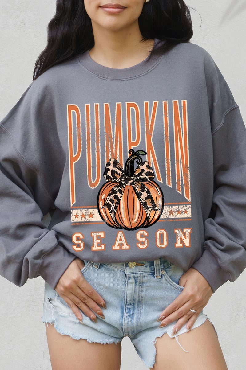 UL180-E3145 Pumpkin Season Graphic Sweatshirt $20
