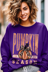 UL180-E3145 Pumpkin Season Graphic Sweatshirt $20